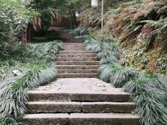 -梦姑塘文化公园