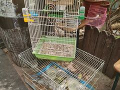 -伊隆斋(什刹海店)