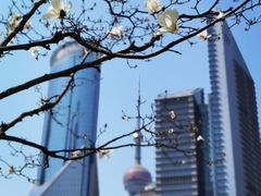 -陆家嘴中心绿地