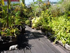 -自然餐厅(Phuket)