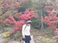 -龙道沟景区