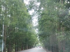 -上海都市菜园
