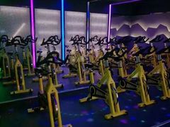 -金吉鸟健身游泳