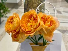 -Tomacado花厨(One ITC店)