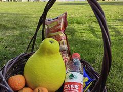 -光明小镇欢乐田园