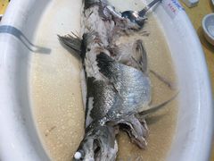 -小北江河鲜(新城店)