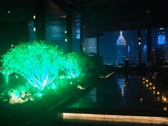 -四季酒店·空中花园 Aria on 9
