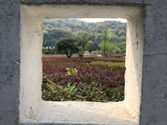 -龙寺生态园
