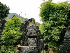 -玉石林风景区
