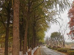 -苏州太湖国家湿地公园