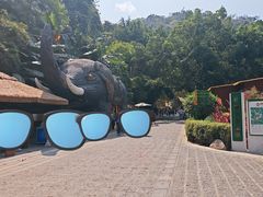 -野象谷景区