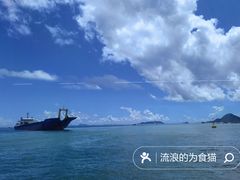 -东澳岛
