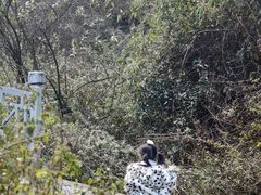 -苍山感通索道