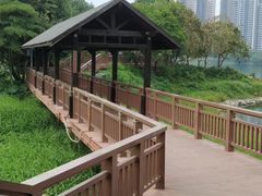-广东花都湖国家湿地公园