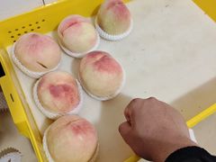 -老袁家蜜桃农场·阳山水蜜桃