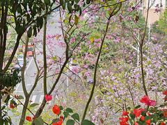 -南宁市凤岭儿童公园