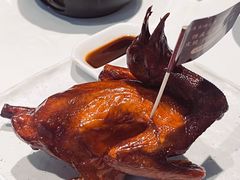 非遗红烧乳鸽-侨美食家·41年地道粤菜(珠江新城店)