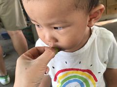 -马陆小张葡萄园农家乐