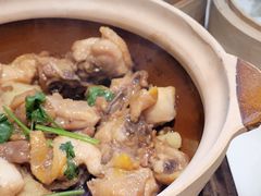 -稻香酒家·33年老字号·港式粤菜(富邦中心店)