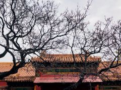 -故宫博物院(故宫)