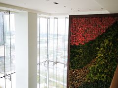 -深圳湾木棉花酒店