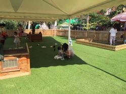 -萌宠亲子动物乐园(槐房万达店)