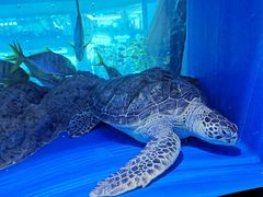 -成都浩海立方海洋公园