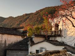 -塔川景区