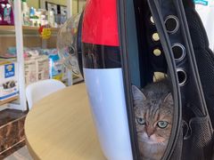 -瑞鹏宠物医院·骨科·猫科·内科(第一中心)