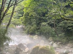 -西岭雪山大飞水景区