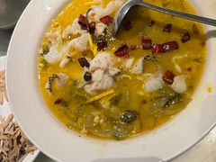 -佬肥猫(国华广场店)