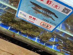 -三亚新鸿港水果一级批发市场
