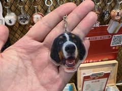 -和它·交个朋友·狗咖猫咖(爱琴海店)