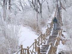 -洛阳白云山景区