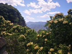 -圣莲山风景区
