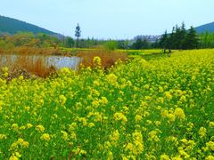 -云龙湖旅游景区