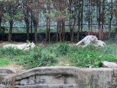 -乐和乐都主题乐园