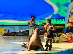 -三亚海昌梦幻海洋不夜城