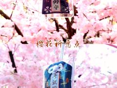 -金茂览秀城