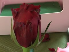 -森野花艺培训·企业团建活动沙龙