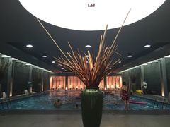 -春晖园度假酒店温泉