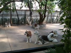 -TrueLove @ Neverland (Husky Cafe)