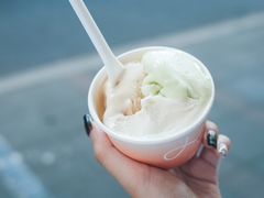 无花果叶-Dip in Gelato(富民路店)