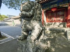 -北京第二实验小学