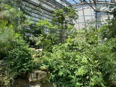 -南山植物园