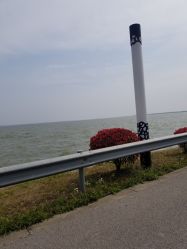-水八仙生态园