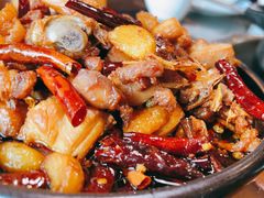 -志晖园圆子鸡·辣子鸡(阳光店)