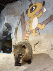 -Zoolung Zoolung动物主题公园(海信广场店)