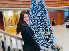 -上海明天广场JW万豪酒店