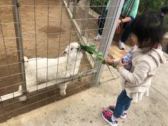 -迪茵湖田家舍生态农场